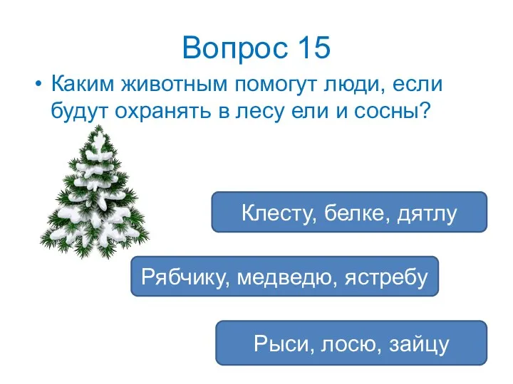 Вопрос 15 Каким животным помогут люди, если будут охранять в лесу ели и