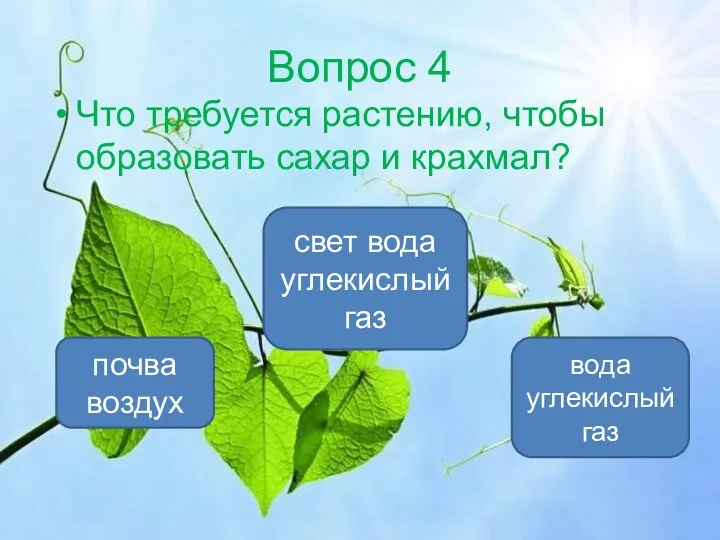 Вопрос 4 Что требуется растению, чтобы образовать сахар и крахмал? свет вода углекислый