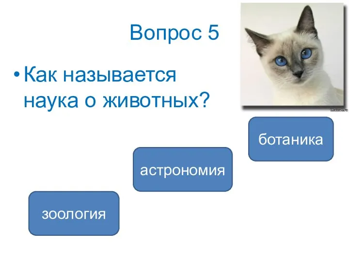 Вопрос 5 Как называется наука о животных? зоология астрономия ботаника