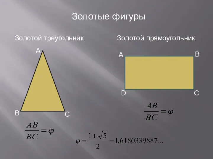 Золотые фигуры Золотой треугольник Золотой прямоугольник А В С А В С D
