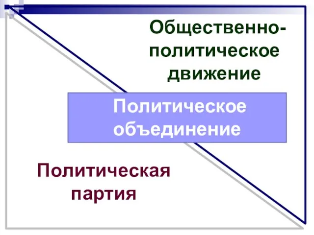 Общественно-политическое движение Политическая партия Политическое объединение