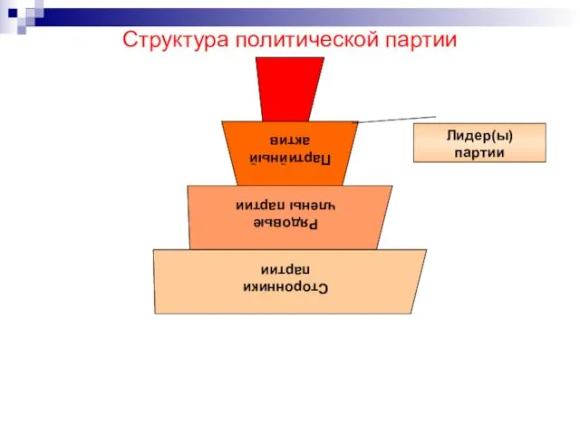Структура политической партии Лидер(ы) партии