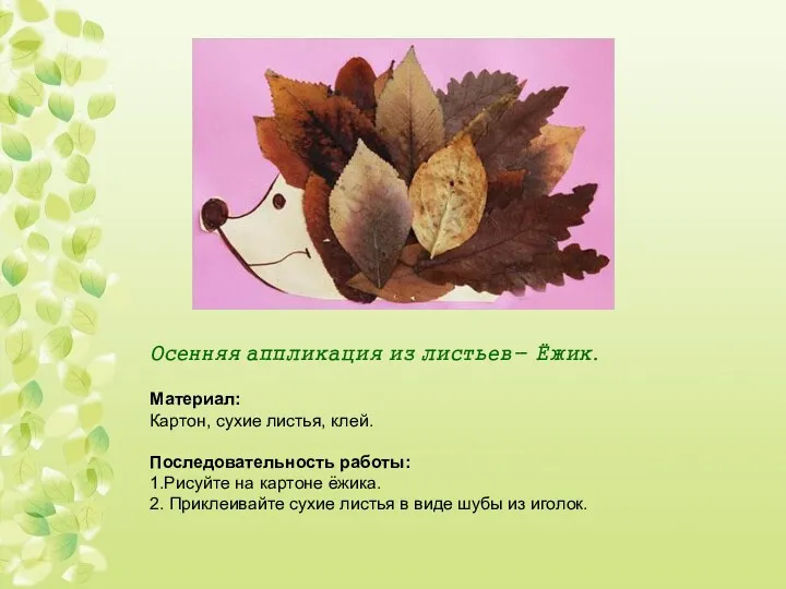 Осенняя аппликация из листьев- Ёжик. Материал: Картон, сухие листья, клей.