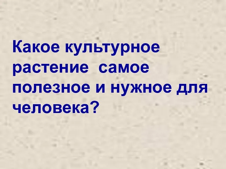 Какое культурное растение самое полезное и нужное для человека?