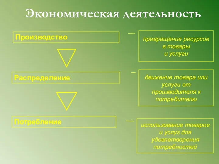 Экономическая деятельность Производство Распределение Потребление движение товара или услуги от