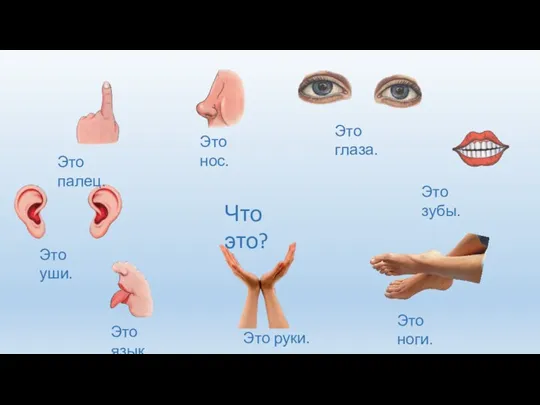 Что это? Это палец. Это глаза. Это уши. Это язык. Это нос. Это