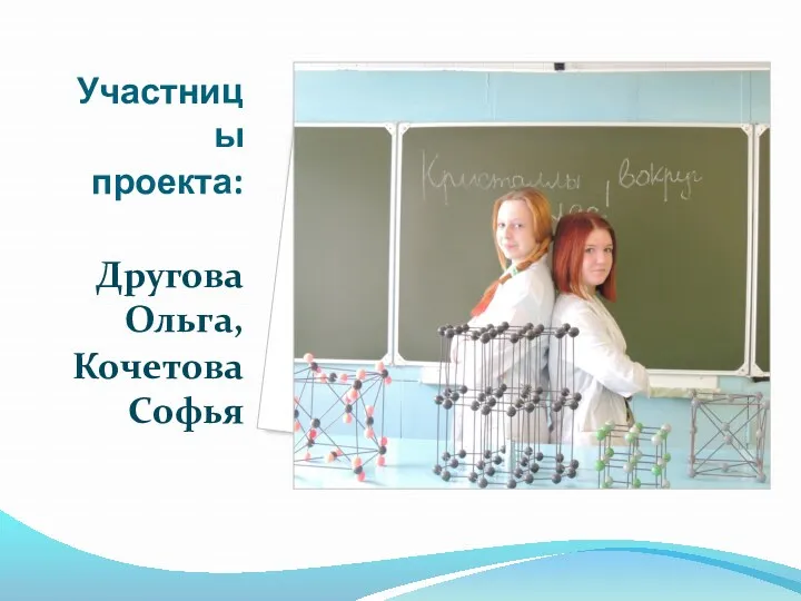 Участницы проекта: Другова Ольга, Кочетова Софья