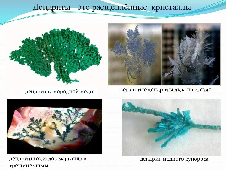 дендрит самородной меди ветвистые дендриты льда на стекле дендриты окислов марганца в трещине