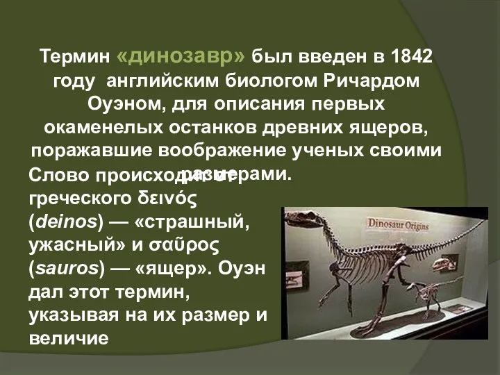 Термин «динозавр» был введен в 1842 году английским биологом Ричардом