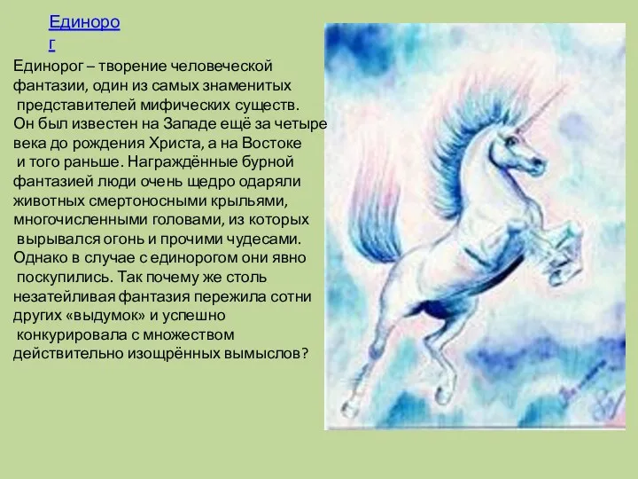 Единорог Единорог – творение человеческой фантазии, один из самых знаменитых представителей мифических существ.