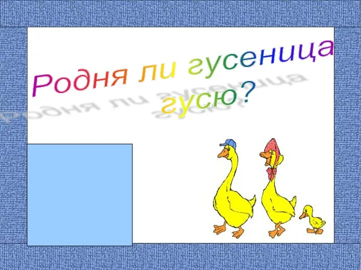 Родня ли гусеница гусю?