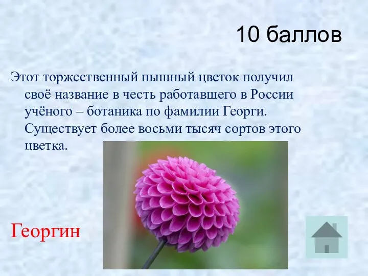 10 баллов Этот торжественный пышный цветок получил своё название в