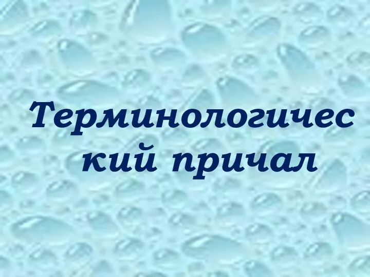 Терминологический причал