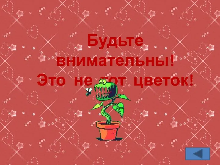 Будьте внимательны! Это не тот цветок!