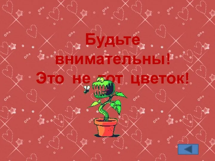 Будьте внимательны! Это не тот цветок!