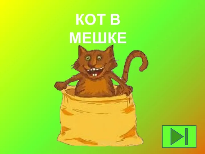 КОТ В МЕШКЕ