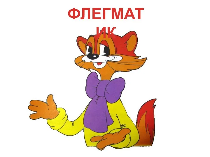 ФЛЕГМАТИК