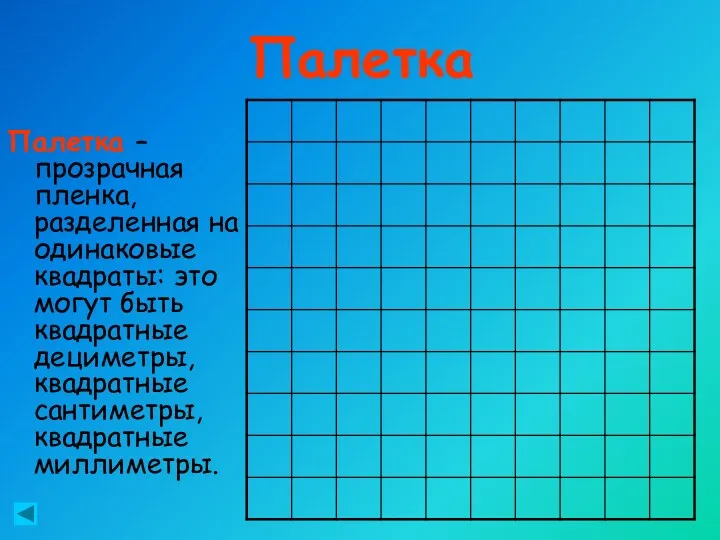 Палетка Палетка – прозрачная пленка, разделенная на одинаковые квадраты: это