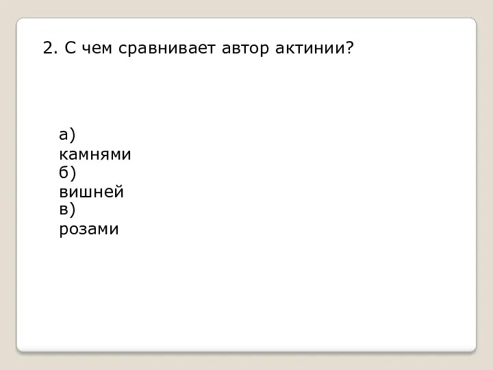 2. С чем сравнивает автор актинии? а) камнями б) вишней в) розами