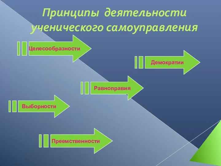 Равноправия Выборности Преемственности Демократии Целесообразности Принципы деятельности ученического самоуправления