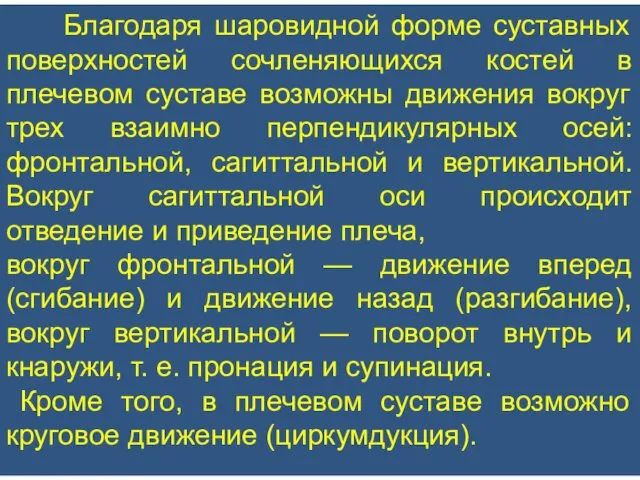 Благодаря шаровидной форме суставных поверхностей сочленяющихся костей в плечевом суставе