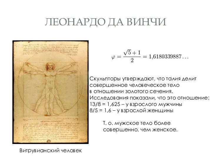 Леонардо да винчи Витрувианский человек Скульпторы утверждают, что талия делит совершенное человеческое тело
