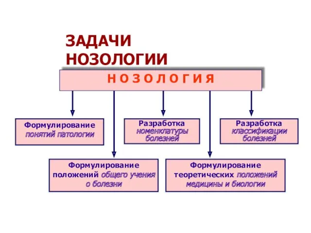 ЗАДАЧИ НОЗОЛОГИИ Н О З О Л О Г И Я *