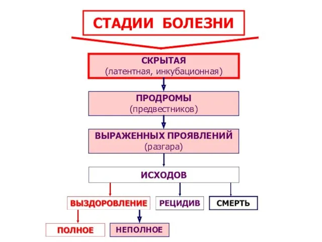 СТАДИИ БОЛЕЗНИ *