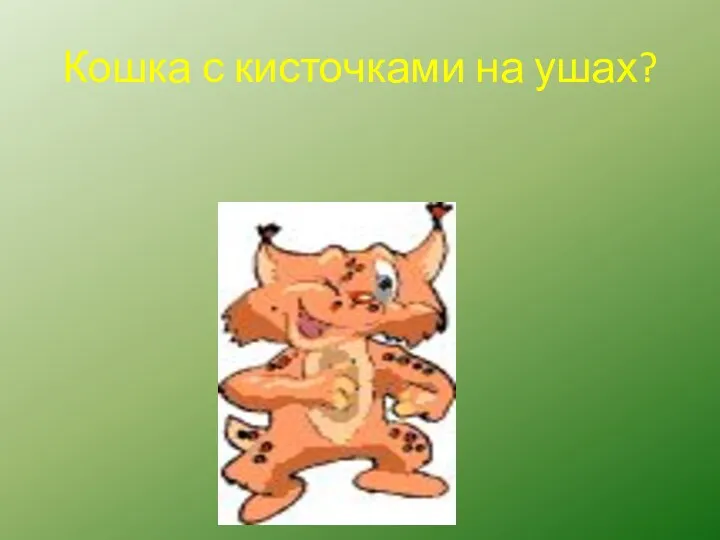 Кошка с кисточками на ушах?