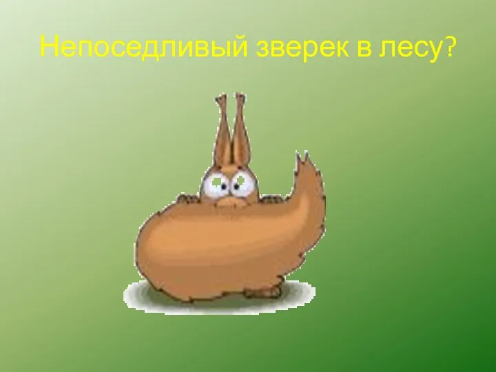 Непоседливый зверек в лесу?