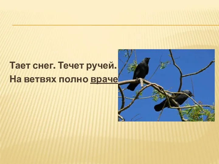 Тает снег. Течет ручей. На ветвях полно врачей.