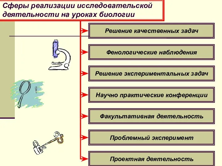 Сферы реализации исследовательской деятельности на уроках биологии