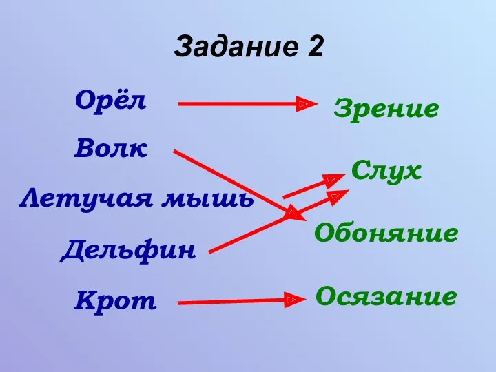 Задание 2 Орёл Волк Летучая мышь Дельфин Крот Зрение Слух Обоняние Осязание