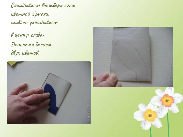 Складываем вчетверо лист цветной бумаги, шаблон укладываем в центр сгиба. Лепестки делаем двух цветов.