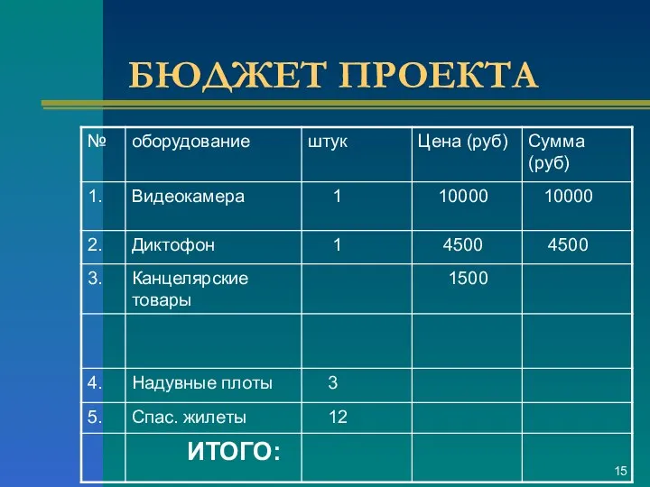 БЮДЖЕТ ПРОЕКТА