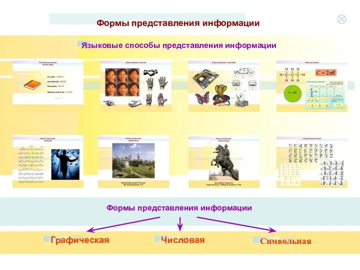 Формы представления информации Языковые способы представления информации Формы представления информации Графическая Числовая Символьная