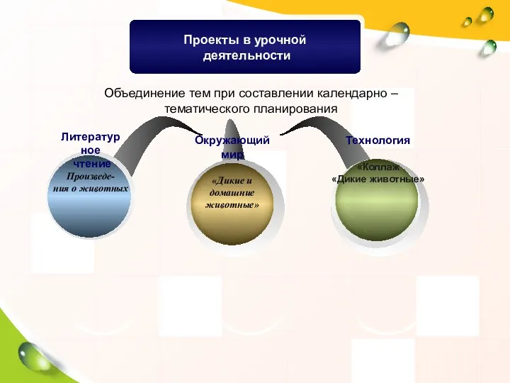 Окружающий мир «Дикие и домашние животные» Литератур ное чтение Произведе- ния о животных