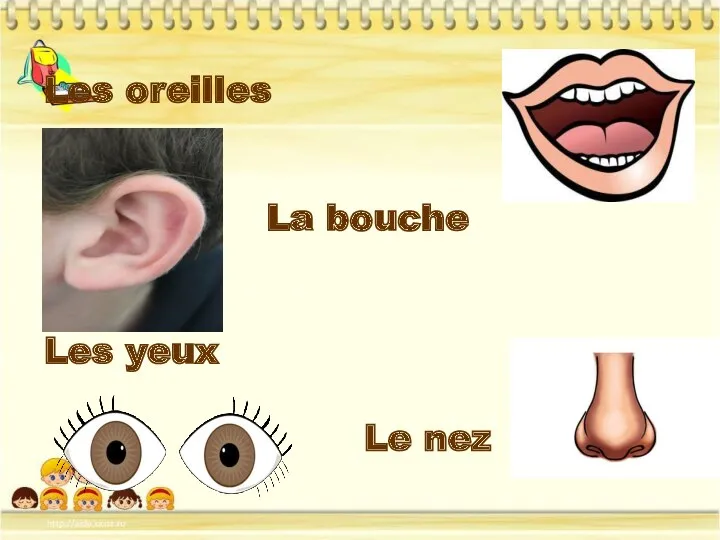 Les oreilles La bouche Les yeux Le nez