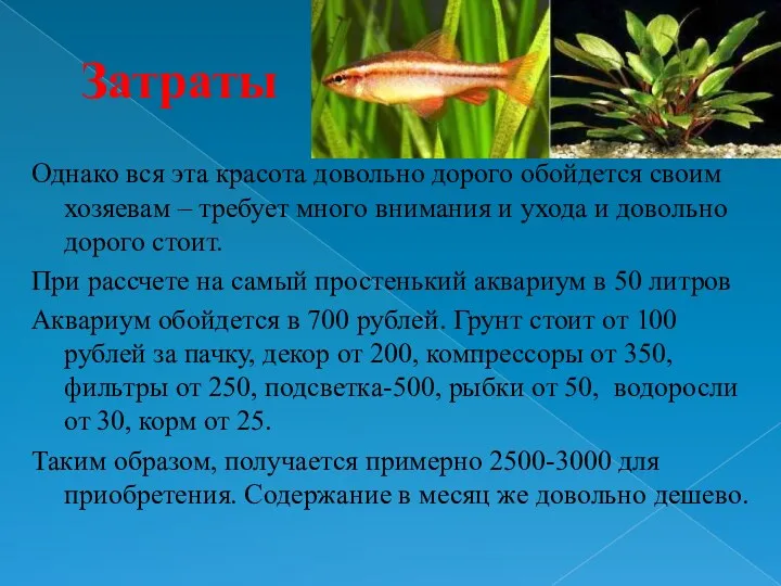 Затраты Однако вся эта красота довольно дорого обойдется своим хозяевам