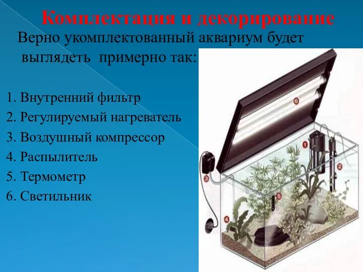 Комплектация и декорирование Верно укомплектованный аквариум будет выглядеть примерно так: