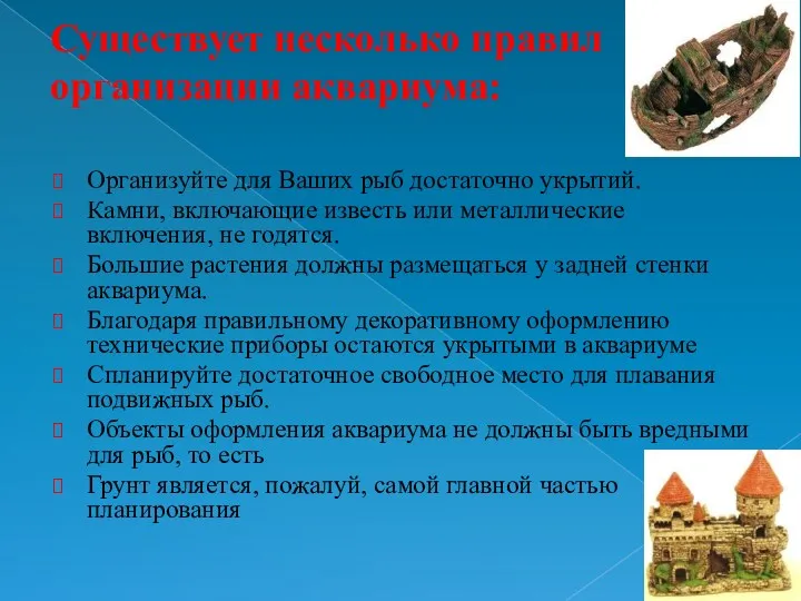 Существует несколько правил организации аквариума: Организуйте для Ваших рыб достаточно