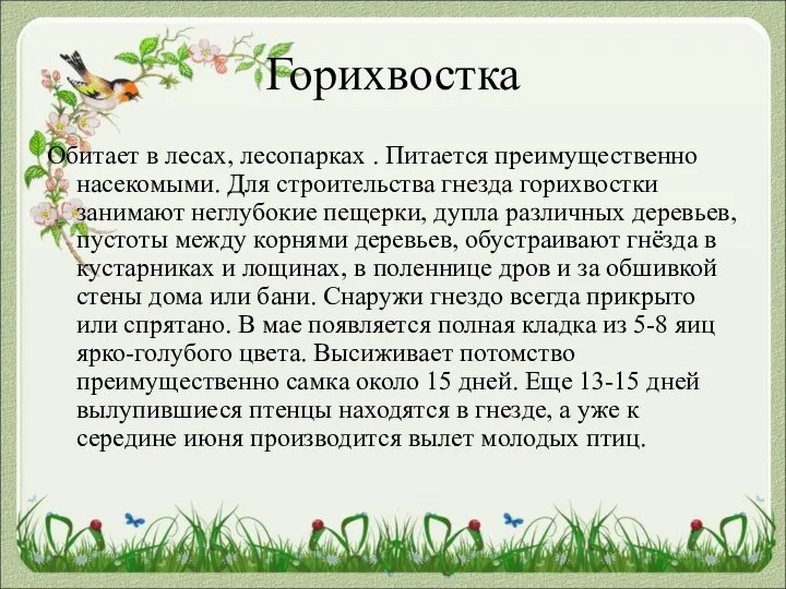 Горихвостка Обитает в лесах, лесопарках . Питается преимущественно насекомыми. Для