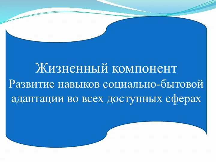 Жизненный компонент Развитие навыков социально-бытовой адаптации во всех доступных сферах