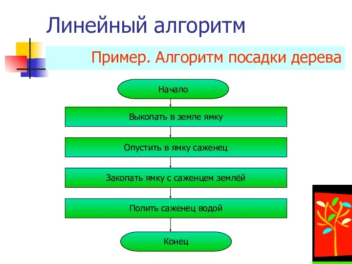 Линейный алгоритм Пример. Алгоритм посадки дерева