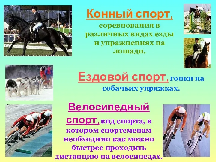 Конный спорт, соревнования в различных видах езды и упражнениях на