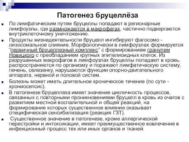 Патогенез бруцеллёза По лимфатическим путям бруцеллы попадают в регионарные лимфоузлы,