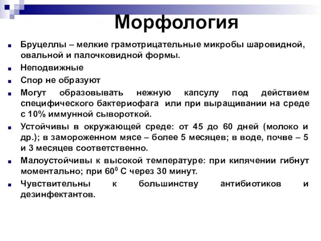 Морфология Бруцеллы – мелкие грамотрицательные микробы шаровидной, овальной и палочковидной