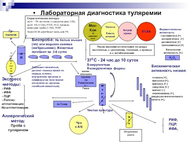 Лабораторная диагностика туляремии ИМ Гр- палочки Экспресс -методы: - РИФ