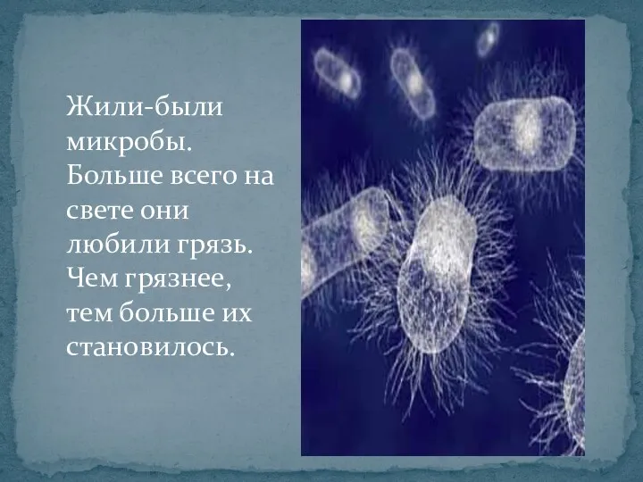 Жили-были микробы. Больше всего на свете они любили грязь. Чем грязнее, тем больше их становилось.