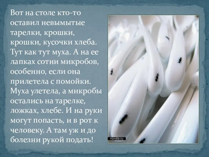 Вот на столе кто-то оставил невымытые тарелки, крошки, крошки, кусочки хлеба. Тут как